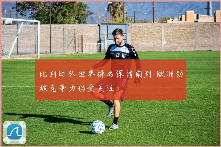 比利时队世界排名保持前列 欧洲劲旅竞争力仍受关注