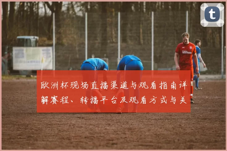 欧洲杯现场直播渠道与观看指南详解赛程、转播平台及观看方式与关键看点