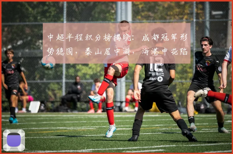 中超半程积分榜揭晓:成都冠军形势稳固,泰山居中游,海港申花陷入保级危机_蓉城_赛季_排名