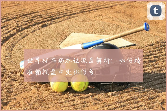 世界杯临场水位深度解析:如何精准捕捉盘口变化信号