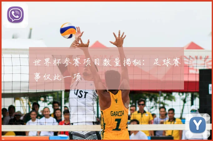 世界杯参赛项目数量揭秘：足球赛事仅此一项