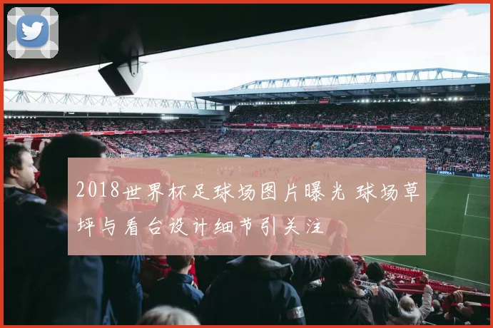 2018世界杯足球场图片曝光 球场草坪与看台设计细节引关注