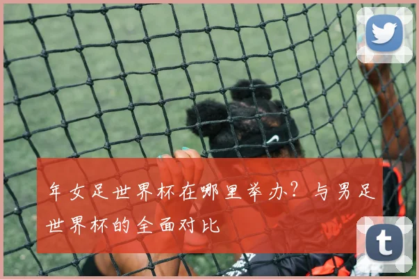 年女足世界杯在哪里举办?与男足世界杯的全面对比
