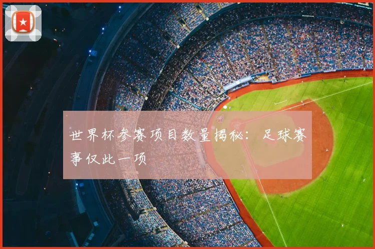世界杯参赛项目数量揭秘:足球赛事仅此一项