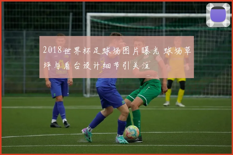 2018世界杯足球场图片曝光 球场草坪与看台设计细节引关注